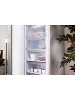 Bauknecht Gefrierteil Standgerät GKN 19G4S IN 2 Optic Inox Lifestyle perspective open