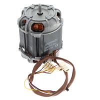 Motor M02324 Edge 4v J00390733