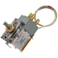 Thermostat J00390883